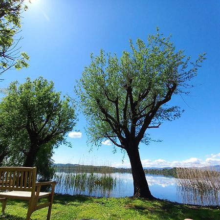 גביראטה Appartamento Miralago Con Giardino Sul Lago מראה חיצוני תמונה