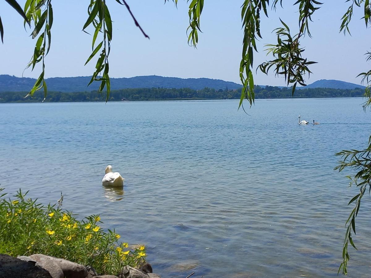 גביראטה Appartamento Miralago Con Giardino Sul Lago מראה חיצוני תמונה