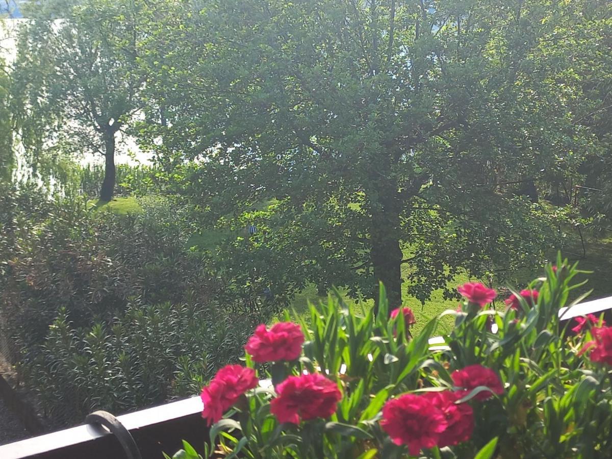 גביראטה Appartamento Miralago Con Giardino Sul Lago מראה חיצוני תמונה