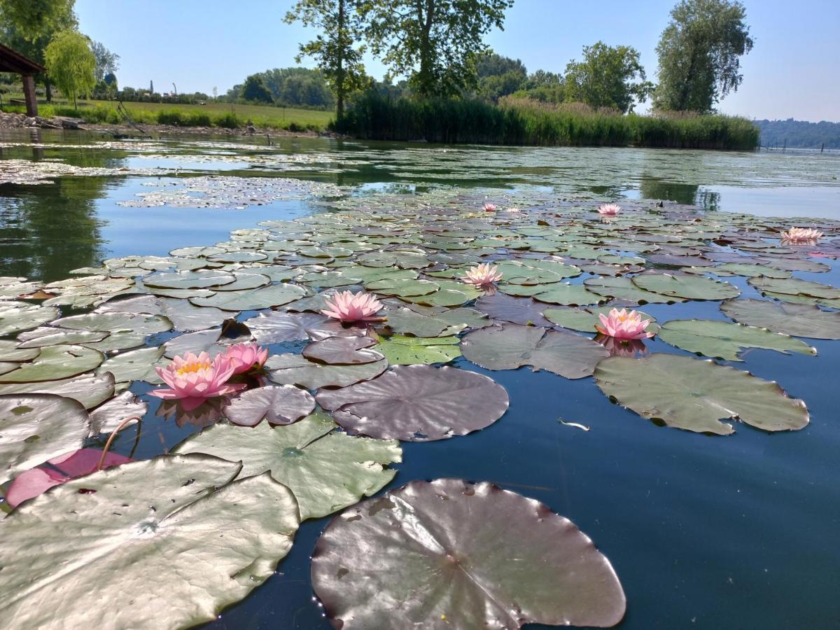 גביראטה Appartamento Miralago Con Giardino Sul Lago מראה חיצוני תמונה